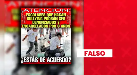 Es falso que los escolares que hagan bullying a sus compañeros puedan ir a la cárcel por 6 años