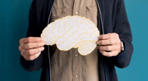 Científicos descubren que la inflamación en el sistema digestivo puede acelerar la pérdida de la memoria