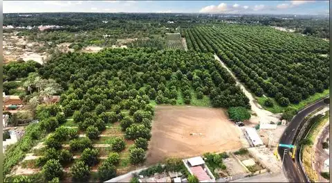 Violencia y tráfico tierras: los principales problemas que enfrentan los iqueños