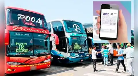 ¿Viajas en Semana Santa? Presta atención a estas 3 formas rápidas de verificar si el bus tiene SOAT