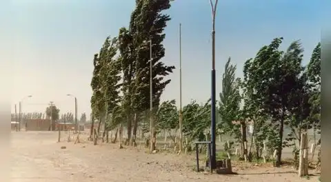 Otoño 2026 llega con fuerza: Senamhi alerta vientos de hasta 46 km/h en la costa peruana