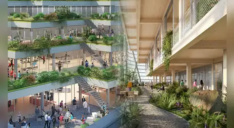 El país de Oceanía que tendría el rascacielos de madera más alto del mundo: megaproyecto busca superar al edificio Ascent de EE. UU.