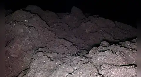 La vida podría tener origen espacial: descubren en el asteroide Ryugu los 5 componentes genéticos clave para la biología