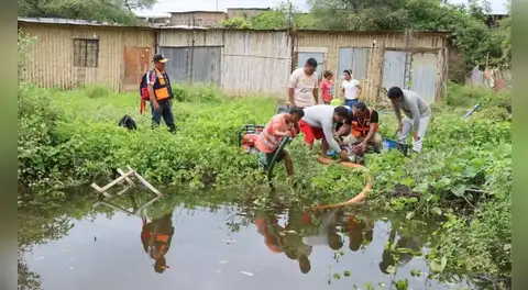 Minsa activa alerta epidemiológica por leptospirosis: Se elevan a más de 1.000 los casos en Perú