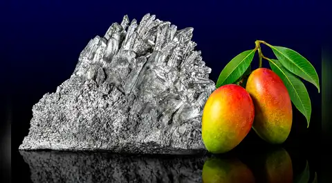 Científicos de Singapur logran crear un metal resistente que amortigua vibraciones usando hojas de mango durante un corto proceso