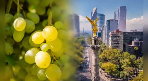 Exportaciones peruanas con valor agregado a México superan los US$100 millones en enero de 2026