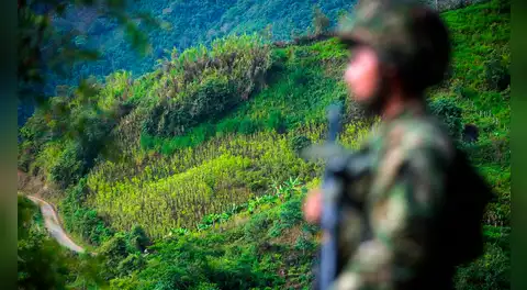 Ejercito de Colombia rescató en la selva a cinco niños ocultos para no ser reclutados por las FARC