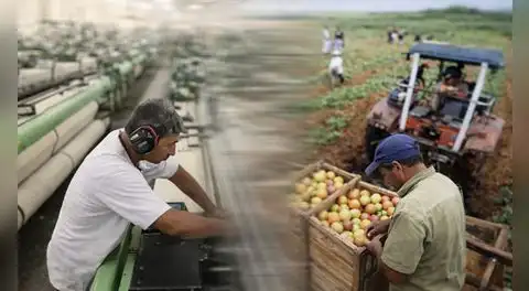 INEI: producción nacional creció 3,68% en febrero por mayor actividad económica en comercio y construcción