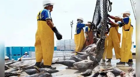 SBS fija nuevas reglas para la jubilación de trabajadores pesqueros afiliados al SPP