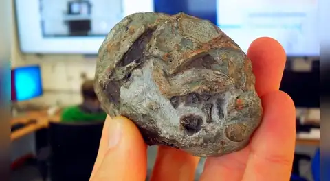 Científicos descubren un huevo de 250 millones de años que resuelve uno de los mayores misterios de la evolución