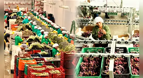 Perú: agroexportaciones suman US$2.220 millones en enero y febrero y crecen 6,7%