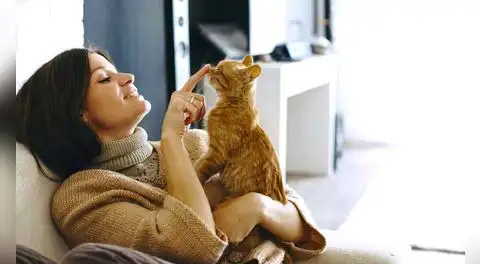 Un estudio confirma que hablarle a tu gato con voz infantil mejora su atención y fortalece el vínculo emocional