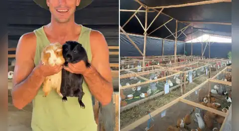 Exfigura de 'Esto es guerra' triunfa con su granja de cuyes en el campo tras dejar la televisión: "Si supieran que 24/7 estoy sucio"