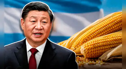 China compra maíz de un país de Sudamérica por primera vez en más de 10 años y proyectan que exportación supere 40 millones de toneladas
