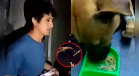 Sujeto es acusado de grave maltrato contra su perrito y vecinos piden rescate urgente en Independencia: "No quieren entregarlo"