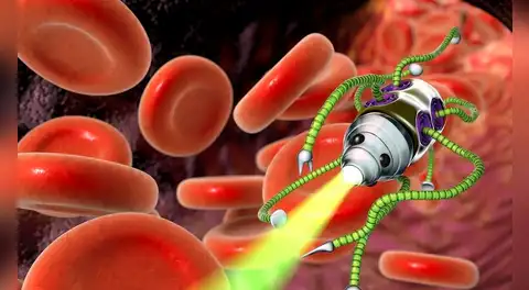 Unos robots 50 veces más pequeños que un cabello humano pueden detectar y neutralizar bacterias
