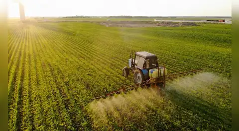 El país de Sudamérica que es el único autosuficiente del mundo: puede producir los 7 grupos alimenticios que necesita