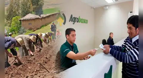 Midagri: Fondo Agroperú destina más de S/226 millones en créditos agropecuarios beneficiando a 14.059 pequeños productores del país