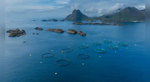 Las joyas naturales de Noruega al borde de la desaparición tras ser afectadas por industria clave: no es el petróleo ni el gas natural