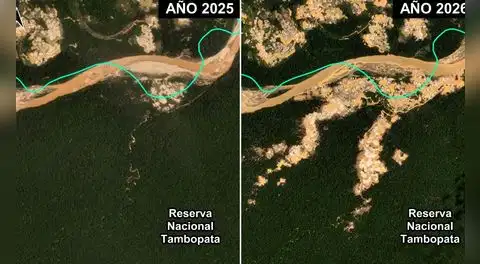 Minería ilegal avanza en área protegida Tambopata: monitoreo satelital revela más de 500 hectáreas deforestadas