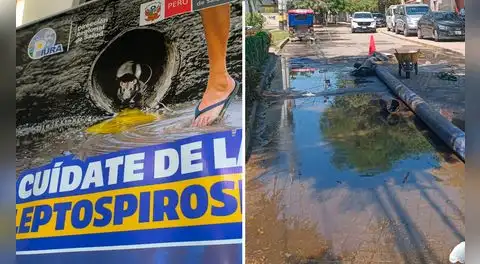 Piden emergencia sanitaria por leptospirosis y dengue tras brote de variante más agresiva en Piura