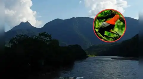 El parque natural que acaba de cumplir 61 años: posee más de 4.000 hectáreas de zona protegida, viven más de 650 especies, entre ellas, el ave nacional
