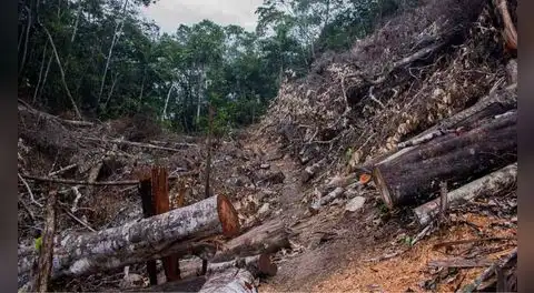 Investigadores de la UNI ganan financiamiento para IA que detectará tala ilegal en la Amazonía peruana