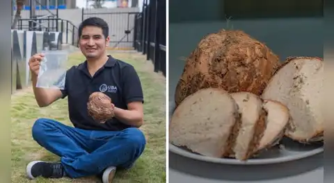 Peruano crea envase biodegradable con un tubérculo del Vraem: conserva alimentos hasta por 28 días y se degrada en 4 días