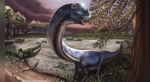 Tan largo como una ballena azul: Tailandia descubre uno de los dinosaurios más grandes encontrados en Asia
