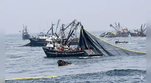 Empresas pesqueras acumulan 99 sanciones por operar en la Reserva Nacional de Paracas