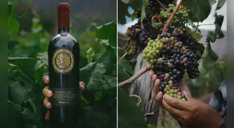 Wayocari, el vino peruano producido a 2.900 m.s.n.m. que conquistó el paladar de famoso crítico británico y lo colocó entre los mejores del mundo