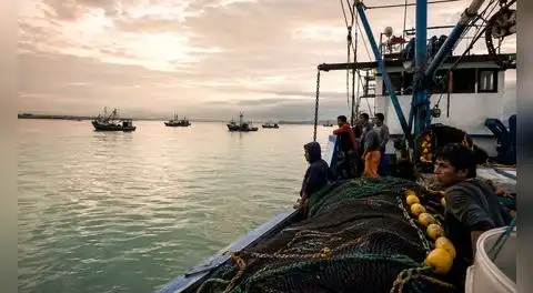 Produce paraliza pesca de anchoveta por El Niño Costero hasta el 10 de junio: ¿riesgo para el sector? Esto advierte Imarpe tras ampliación