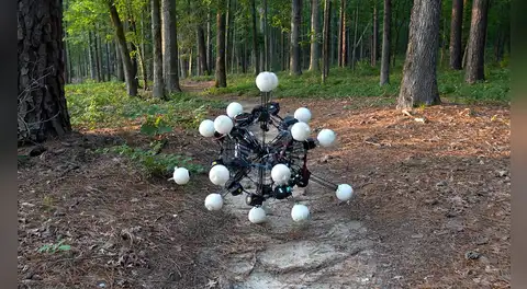 Con 20 patas para trepar paredes y moverse entre árboles: científicos crean el cuerpo ideal para un robot