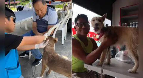 Este distrito de Lima Metropolitana realizará una campaña veterinaria GRATIS el viernes 5 de junio: conoce el horario y lugar de atención