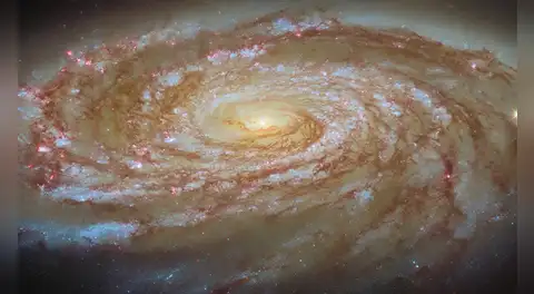 El telescopio Hubble captura una galaxia siendo despojada lentamente de su futuro por poderosas fuerzas cósmicas