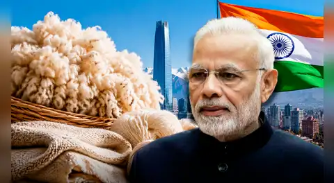 India compra por primera vez lana ovina de un país de América Latina y la posiciona en uno de los mayores mercados textiles del mundo