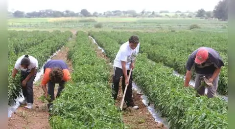El Niño Costero seguiría hasta 2027: el próximo gobierno enfrentará un nuevo desafío para la economía peruana