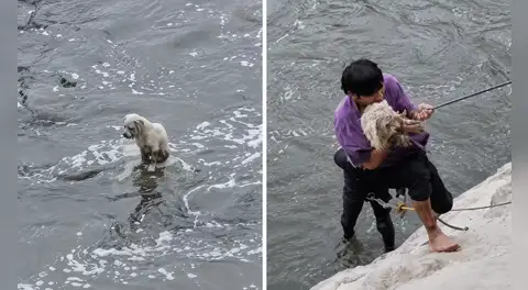 Joven arriesga su vida y salva a perrito que cayó al río Rímac: "Lo vi y solo pensé en rescatarlo"