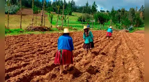 Gobierno aprueba endeudamiento externo por US$26 millones con el FIDA para financiar el proyecto Mercagro: ¿qué implica?