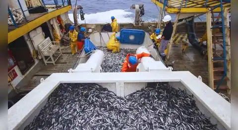 Produce suspende la pesca de anchoveta en la zona Norte-Centro ante condiciones cálidas del mar