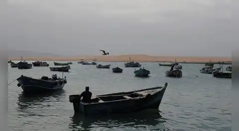Fujimorismo y ‘lobby’ empresarial a favor de la pesca industrial