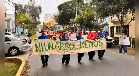 "Les están quitando la vida": Vecinos marchan en defensa del Campo de Marte y denuncian daños a más de 20 árboles