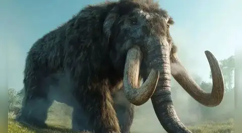 ¡Sorprendente hallazgo en Perú!: rescatan restos de mastodontes que habitaron Sudamérica en la Edad de Hielo