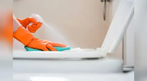 Por qué cada vez más personas rocían vinagre alrededor del inodoro para mejorar la limpieza del baño de forma económica y natural
