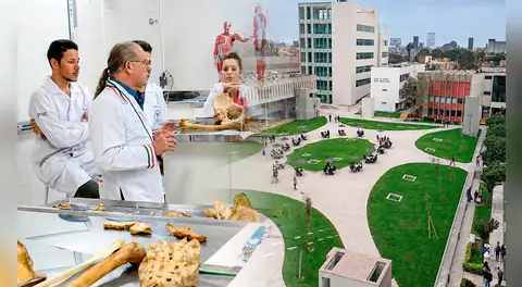Ranking QS 2026 revela las 10 mejores universidades de América Latina en 'Ciencias de la Vida y Medicina': una peruana en top 20