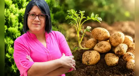 Científica peruana gana premio mundial de alimentación por crear papas biofortificadas para combatir la anemia