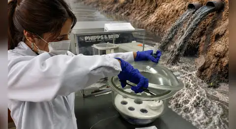 Estudiante peruana logra convertir restos de algodón y palta en ‘esponjas inteligentes’ para descontaminar aguas con plomo: eliminan hasta el 99% del metal pesado