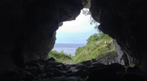 El descubrimiento de lobos de 5.000 años de antigüedad en una isla remota desafía lo que sabemos sobre la domesticación