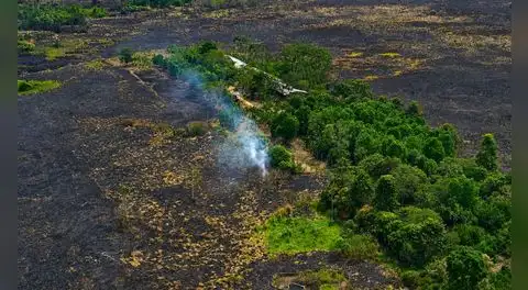 Amazonía en alerta por fenómeno de El Niño: estudio advierte mayor riesgo de incendios forestales