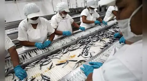 PBI peruano desacelera a 1,8% en mayo tras desplome de la pesca y caída de la manufactura